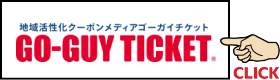 GO-GUY TICKET